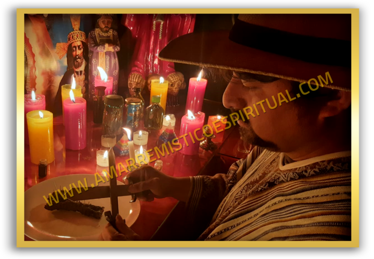 SAUL11